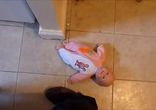 Самый заботливый пес в мире