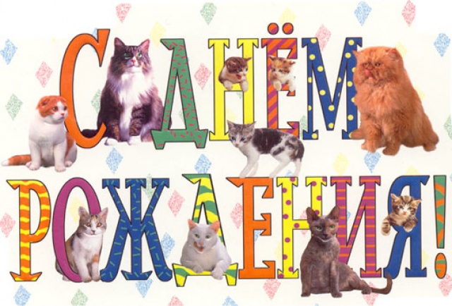 Муррчастого Дня рождения!