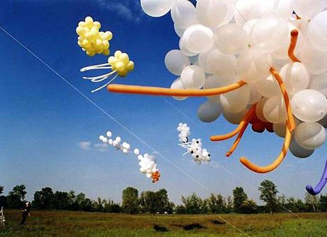 Киев захватит «Весенний ветер»