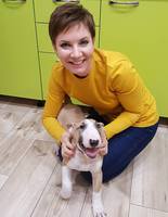 Собака Собака