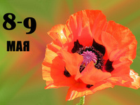 День Победы над нацизмом во Второй мировой войне