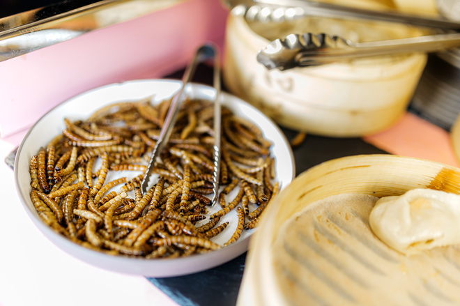 Презентация нового сезона тревел-шоу "Мир наизнанку"