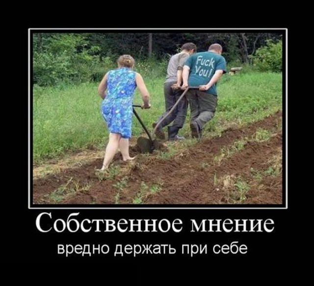 Социальные демотиваторы