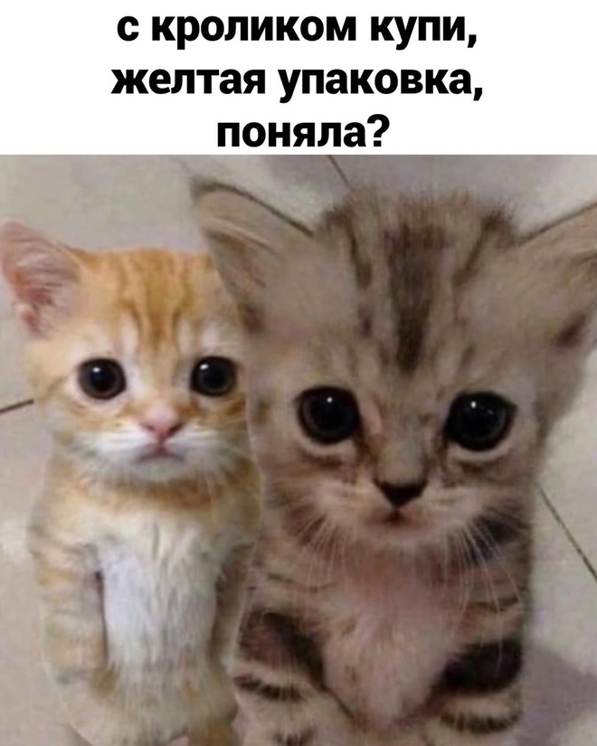 Наташа, нам надоело