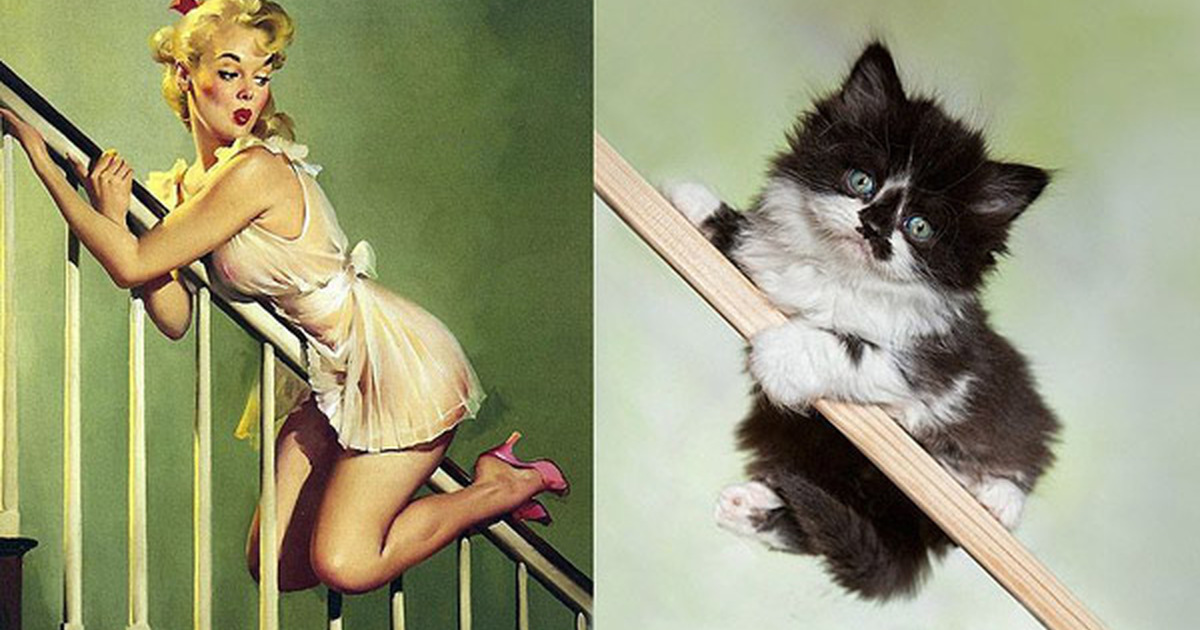 Что значить кокетливая. Кошки в стиле пин ап. Девушка с котом. Игривое настроение. Пин ап девушка с кошкой.