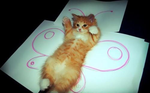 Нереальные котэ