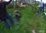 seesaw_vs_face