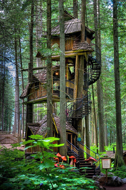 Оригинальные жилища: самые необычные дома на деревьях