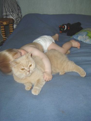 "Я тебя не отдам никому!"