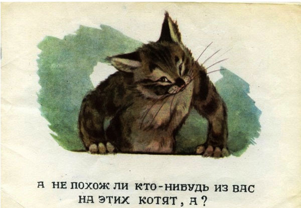 Няшные котэ времен СССР