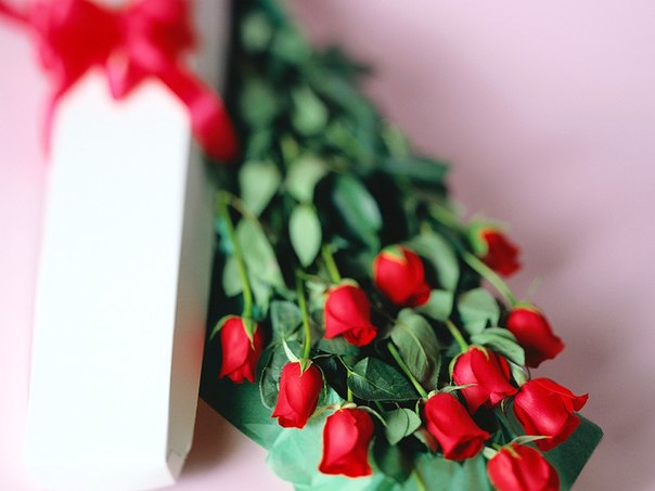 Цветы на День Рождения