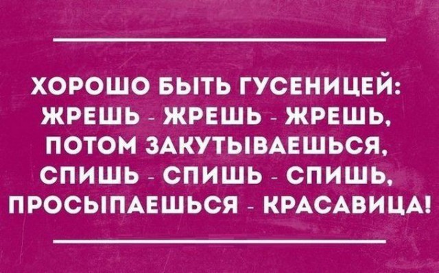 Прикольные картинки с текстом