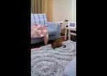 Прыггинг)