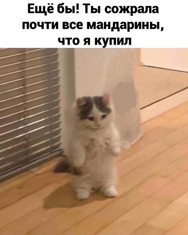 Комикс про мандаринки