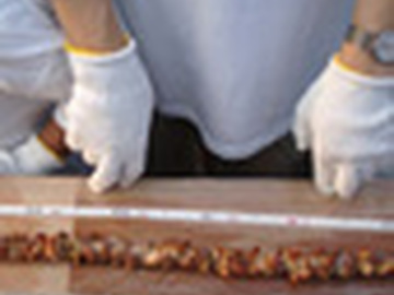 Японские рекордсмены