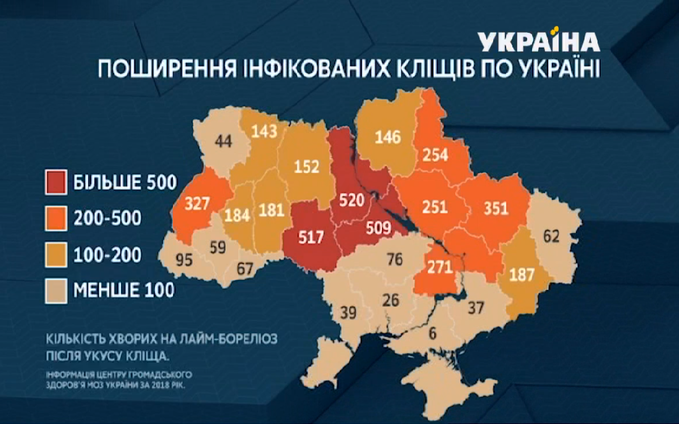 Насекомые атакуют: журналисты создали интерактивную карту "инфицированных клещей"