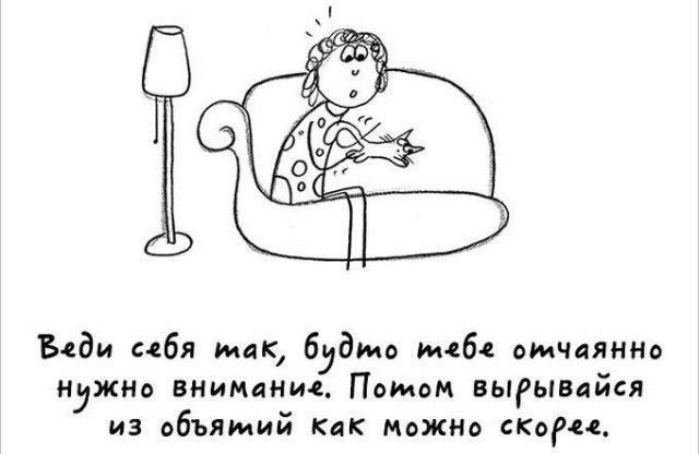 Милый комикс про котов