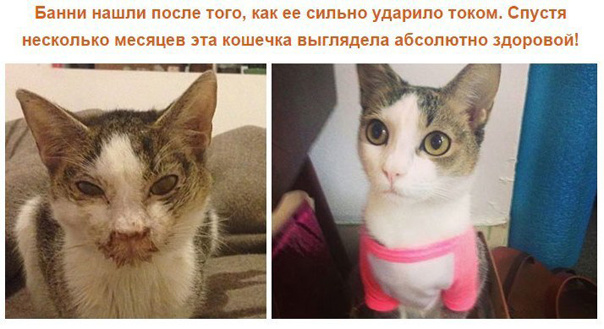 Делать добро легко