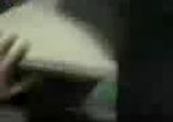 Офисные беспорядки