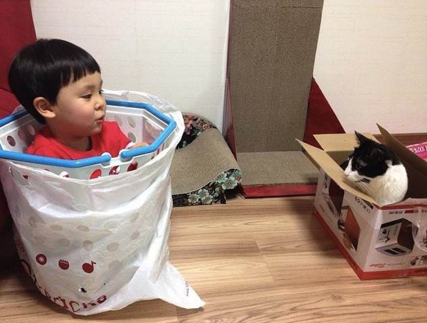 Коты - лучшие друзья