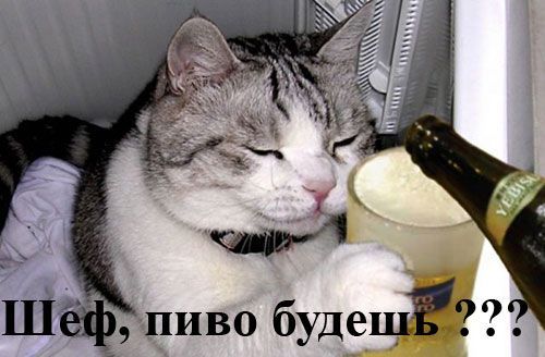 Комикс про пятницу
