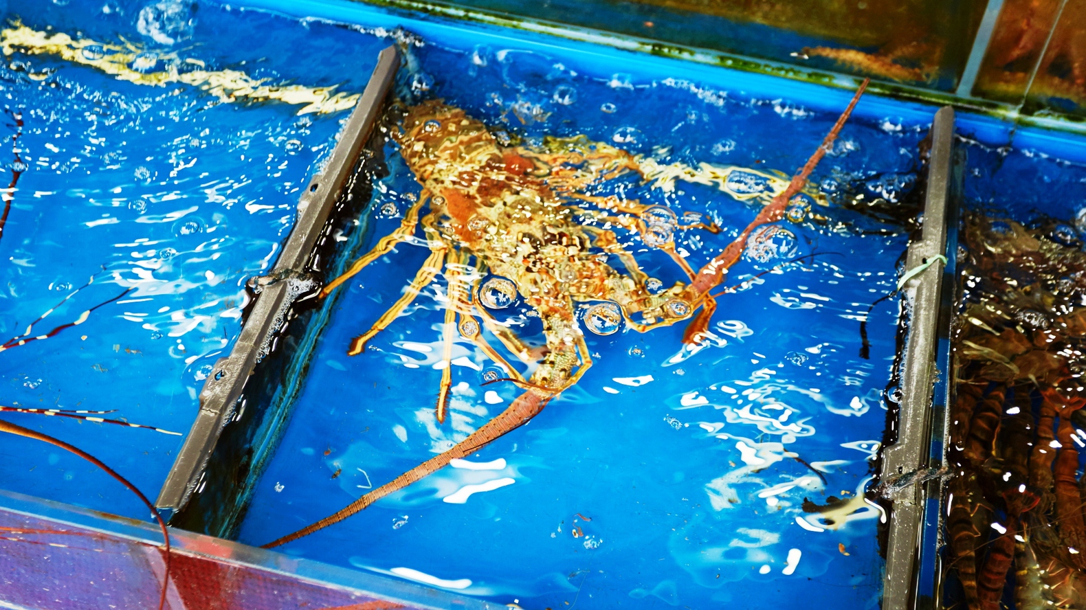 Інший Всесвіт очима популярного фотографа Андрія Саримсакова. Шанхай