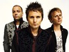 Muse