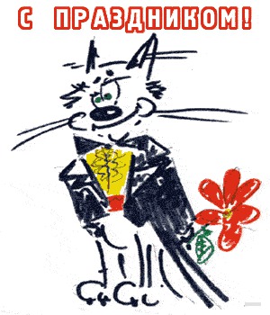 Кіт
