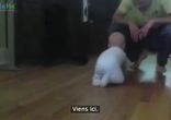 Как дети радуются приходу папы