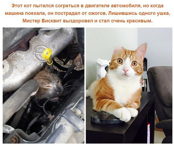 Делать добро легко