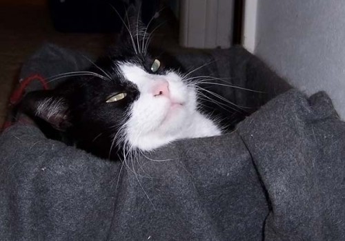 Работаю над стрессоустойчивостью