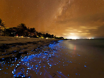 Море зірок на Мальдівах