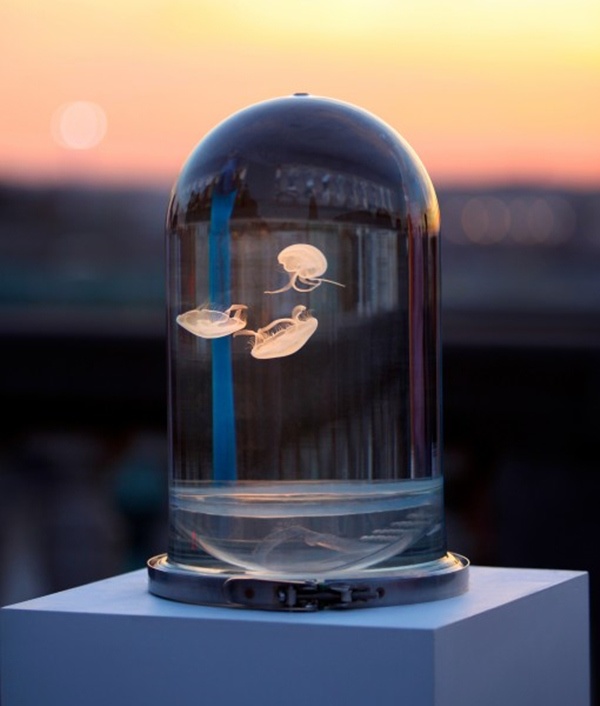 Гвінет Пелтроу склала список незвичайних подарунків