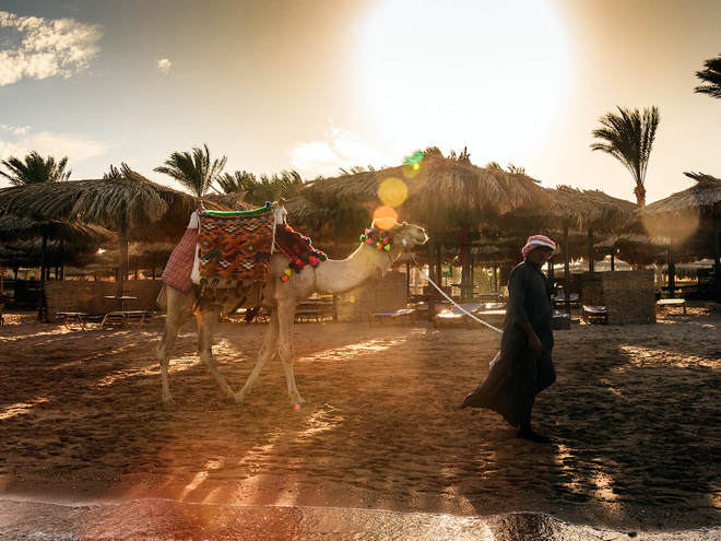 Єгипет, готель Jaz Makadina