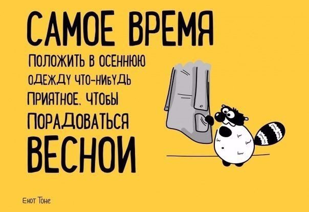 Мудрые советы от енота Тоне