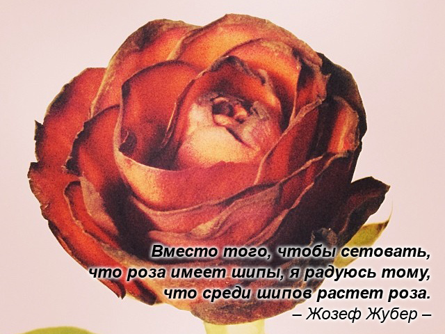 Мотивирующие картинки