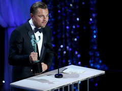 Leo's Red Carpet Rampage