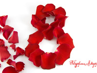 Страстные обои на 8 марта HD