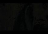 Zelimir Ft. Solvor - Magic