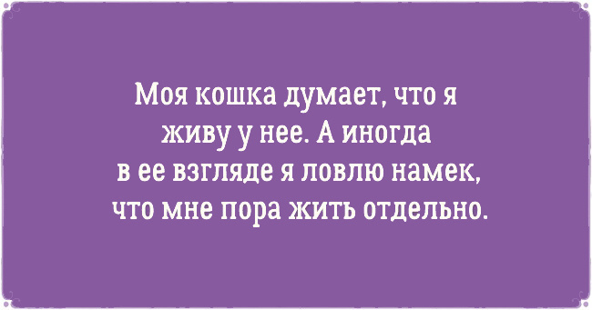 ТОП 10 приколов про котов