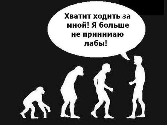 Приколы картинки студент, анимация брюс