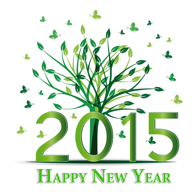Новый год 2015