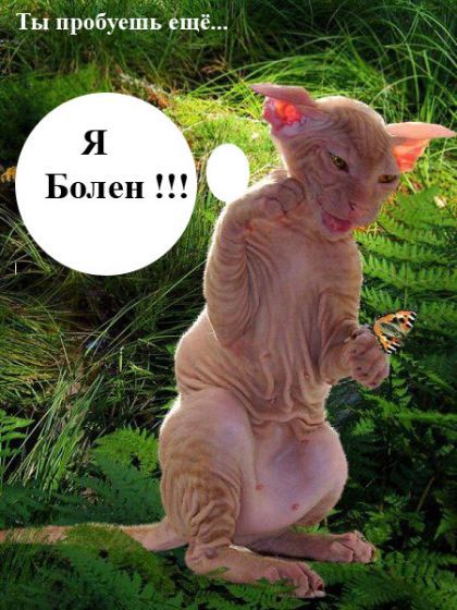 Комикс про пятницу