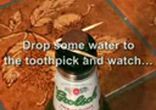 how to put a coin into