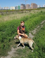 Собака Собака