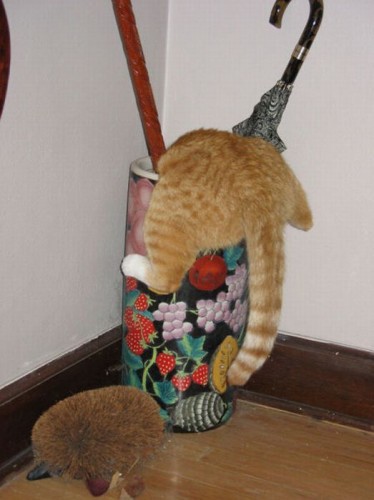 Котэ акробаты