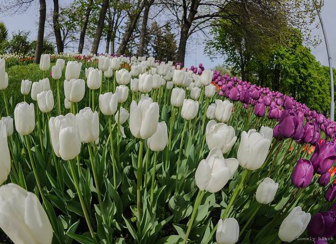 куди поїхати в квітні