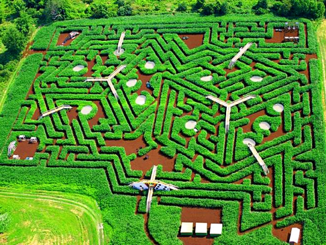 Самые запутанные лабиринты: Davis' Mega Maze, Стерлинг, США