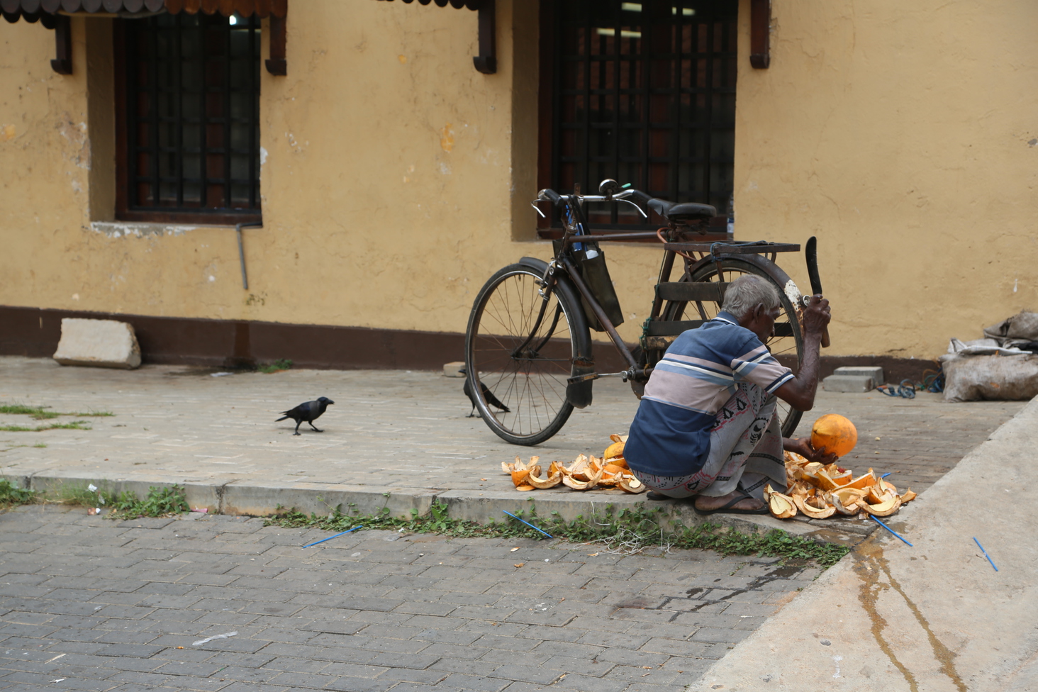 Дмитрий Каднай о Шри-Ланке: все, что вы не прочитаете в путеводителе об острове