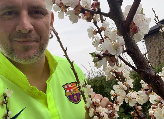 Великдень зірки